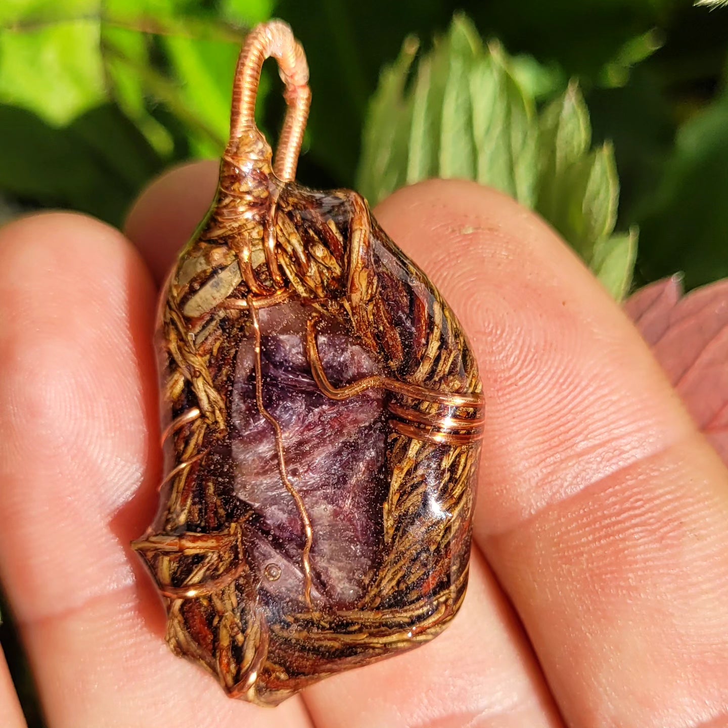 Charite and Western Hemlock Spiritnest