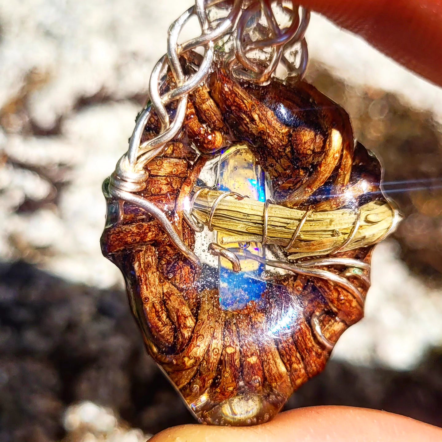A Fire Opal Nested in Douglas Fir and Silver