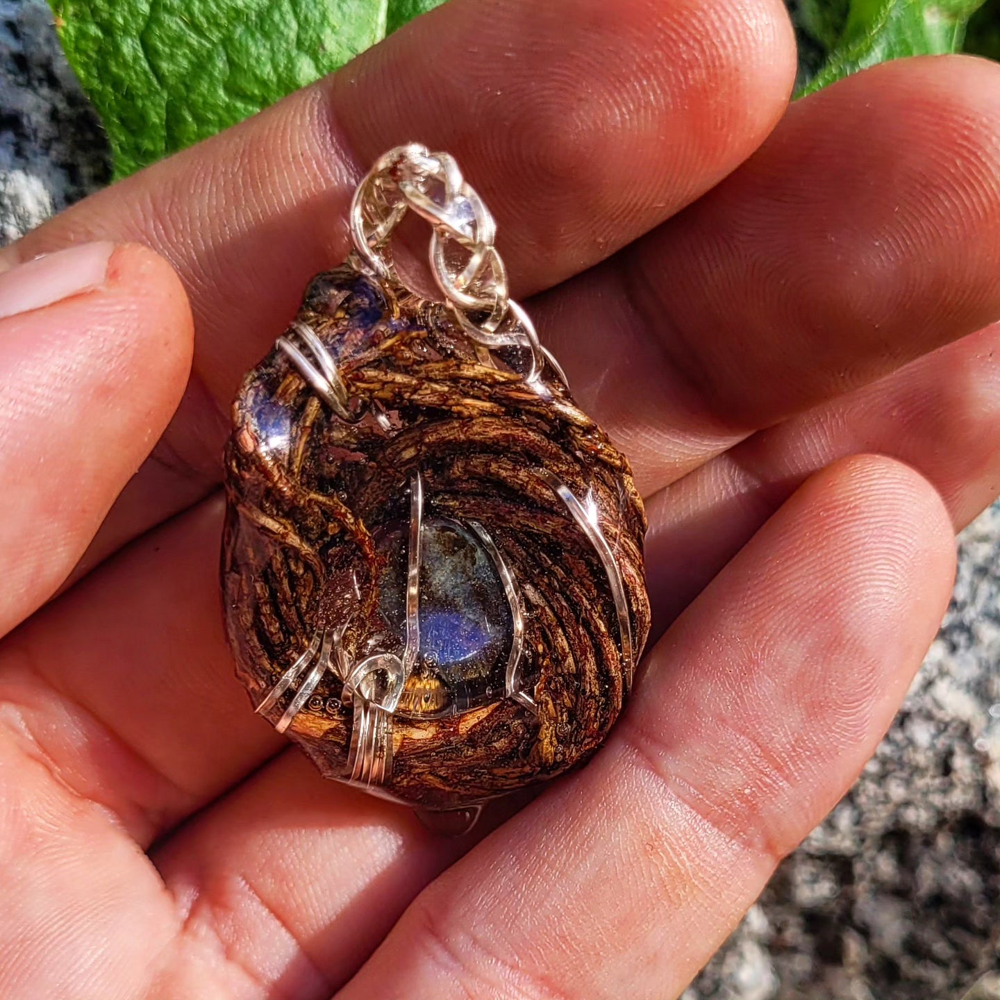 Ruby & Kyanite Nested in Western Hemlock