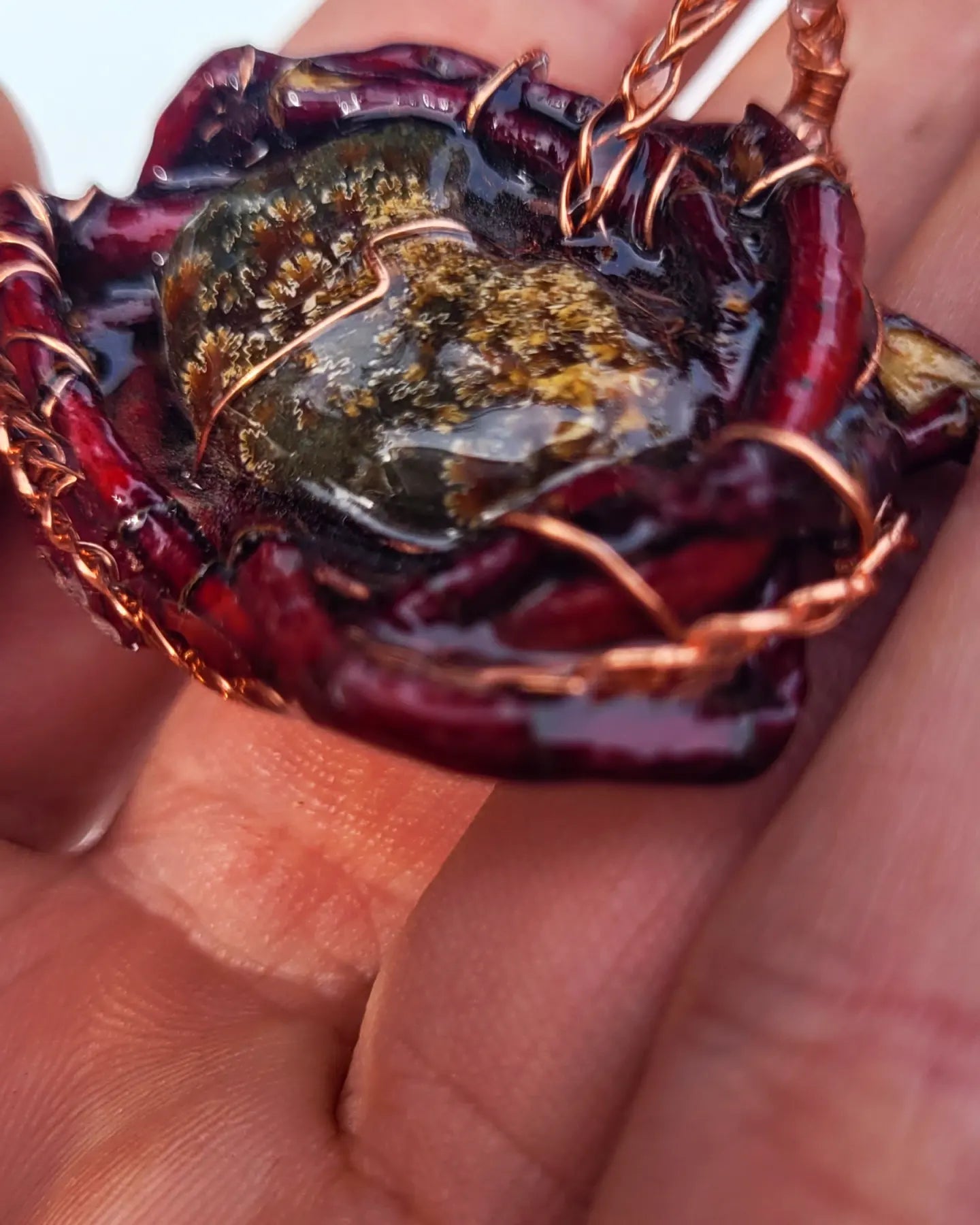 Double sided Blood wood and Ammonite Nest