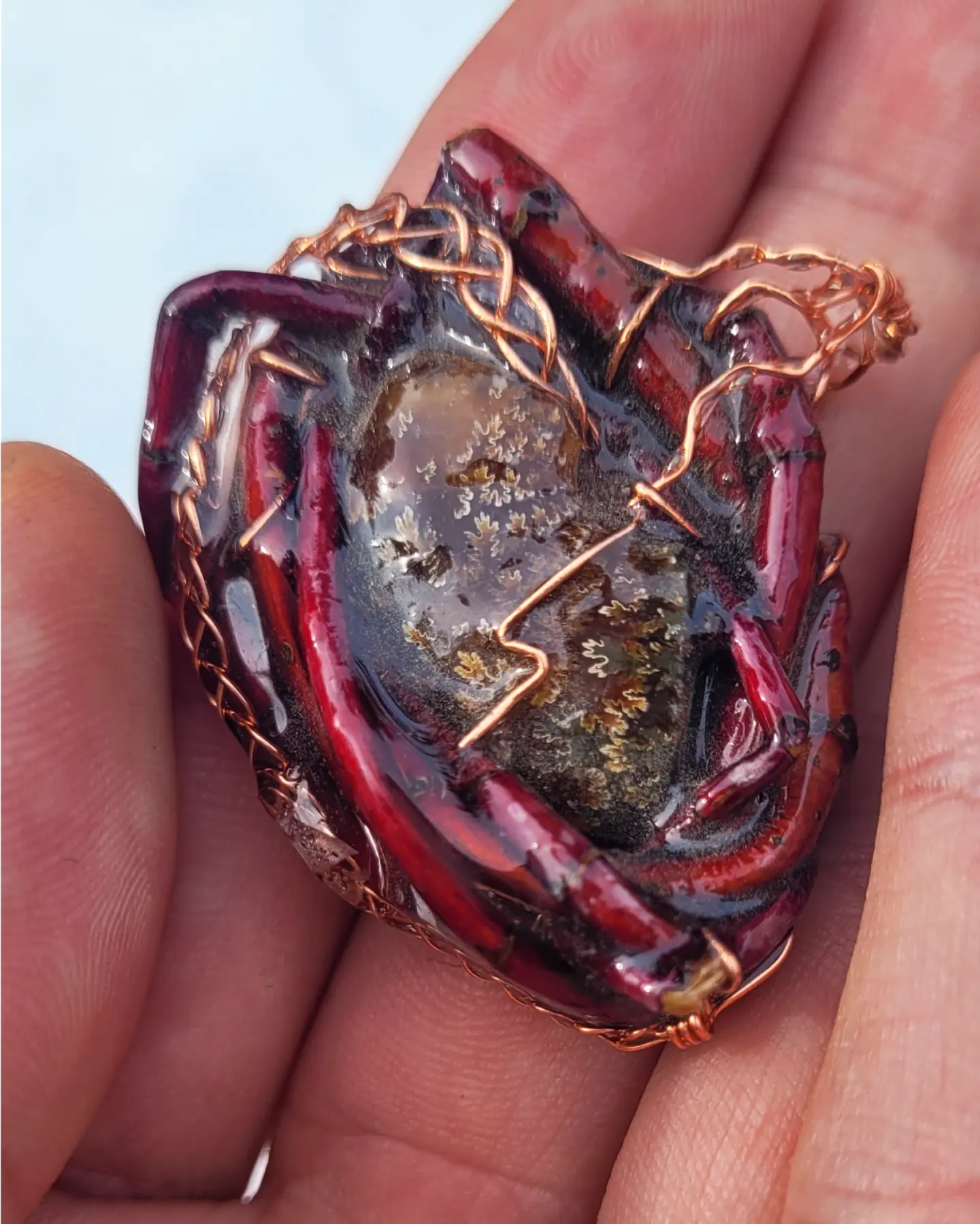 Double sided Blood wood and Ammonite Nest