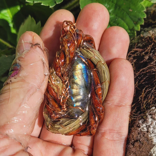 Labradorite Nested in Pine with needles