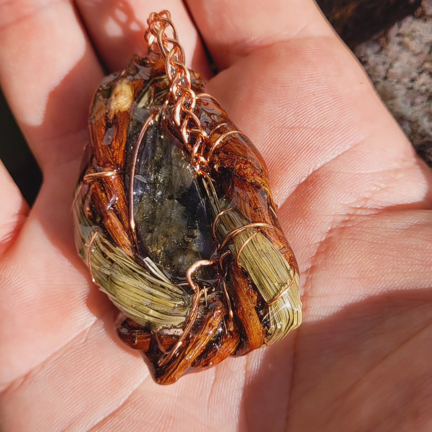 Labradorite Nested in Pine with needles