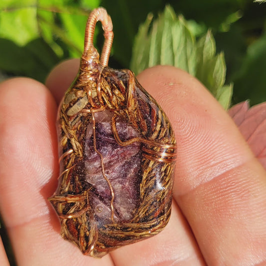 Charite and Western Hemlock Spiritnest