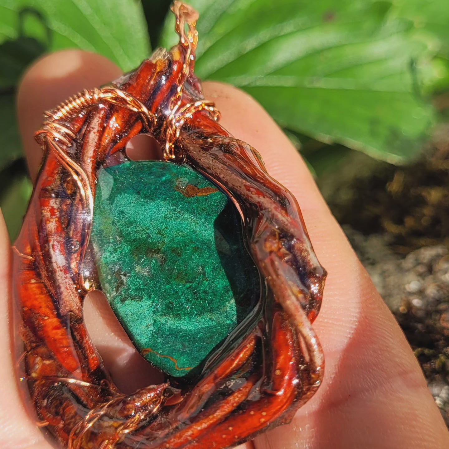 Chrysocolla Nested in Birch