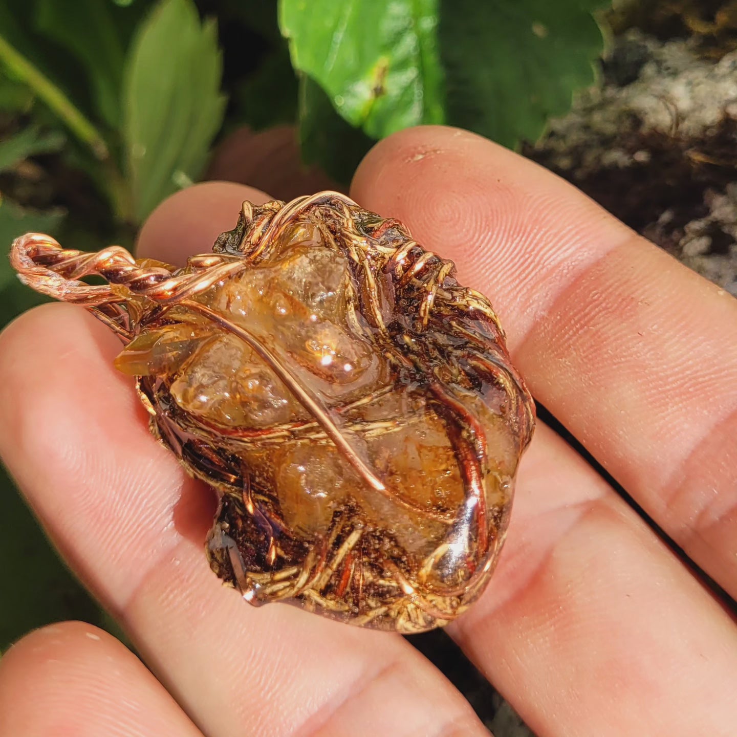 Double Sided Tangerine Quartz & Raw Ruby Nested in Western Hemlock