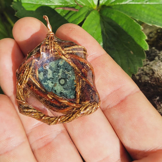 Kamba Jasper Nested in Western Hemlock