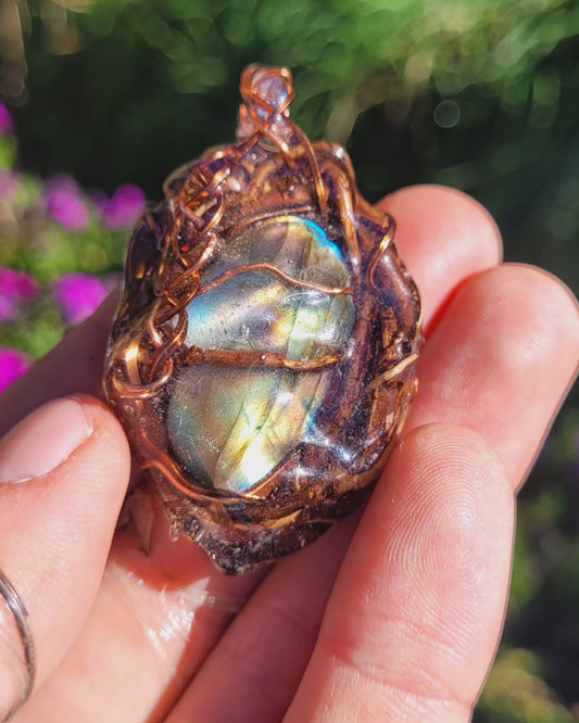 Labradorite Nested in Hazel