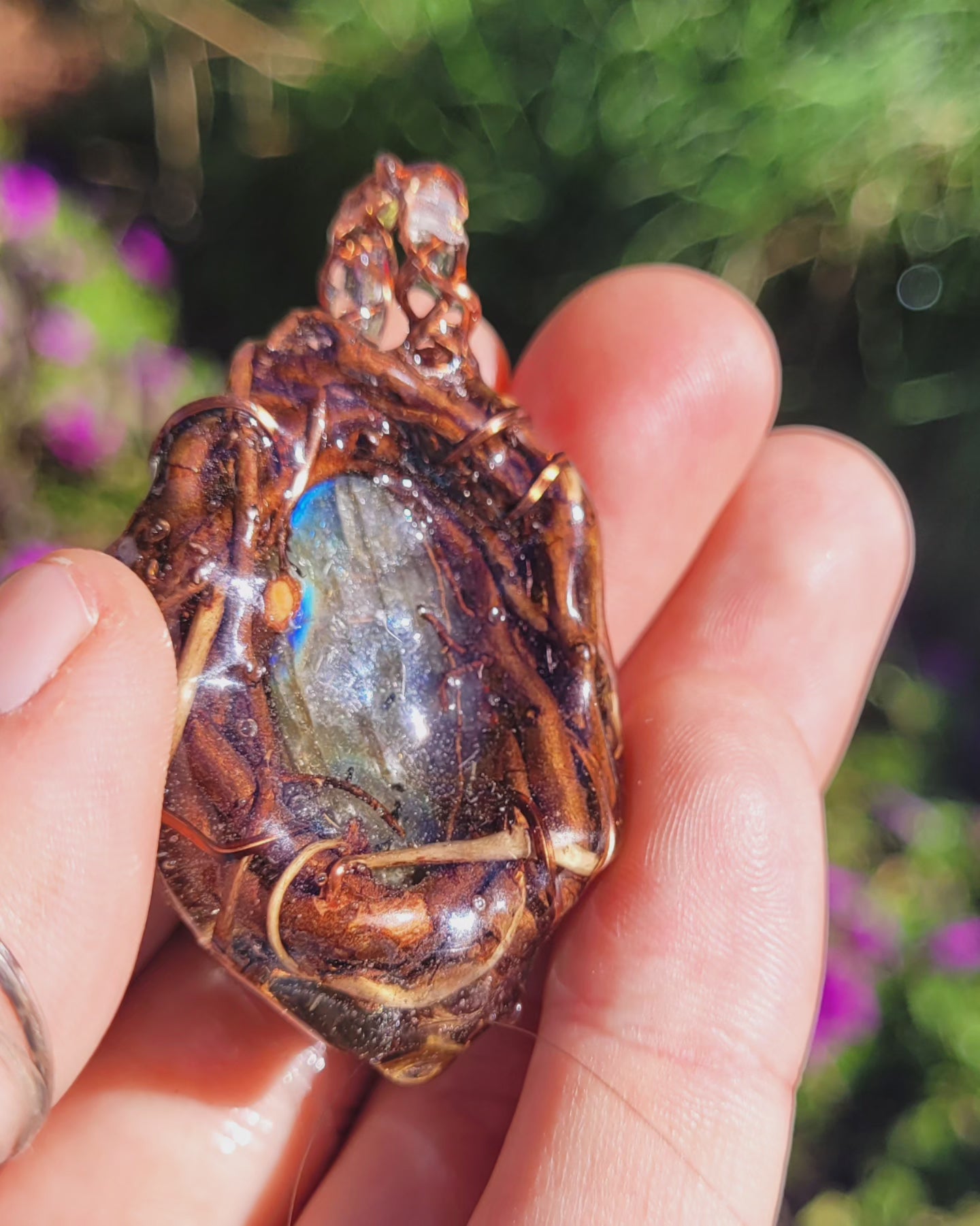 Labradorite Nested in Hazel