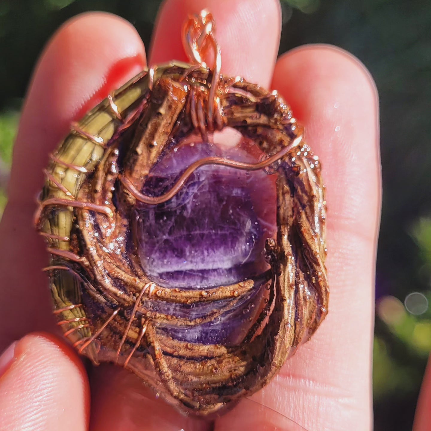 Amethyst in Pine with Needles