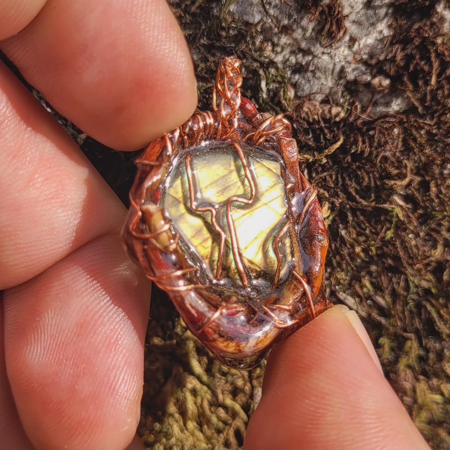 Labradorite Nested in Poplar