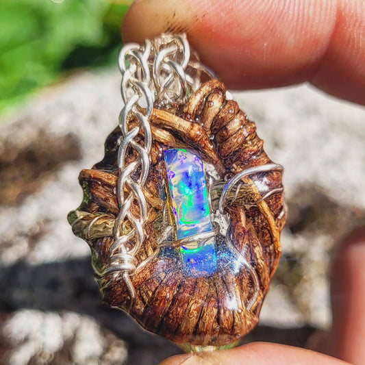 A Fire Opal Nested in Douglas Fir and Silver