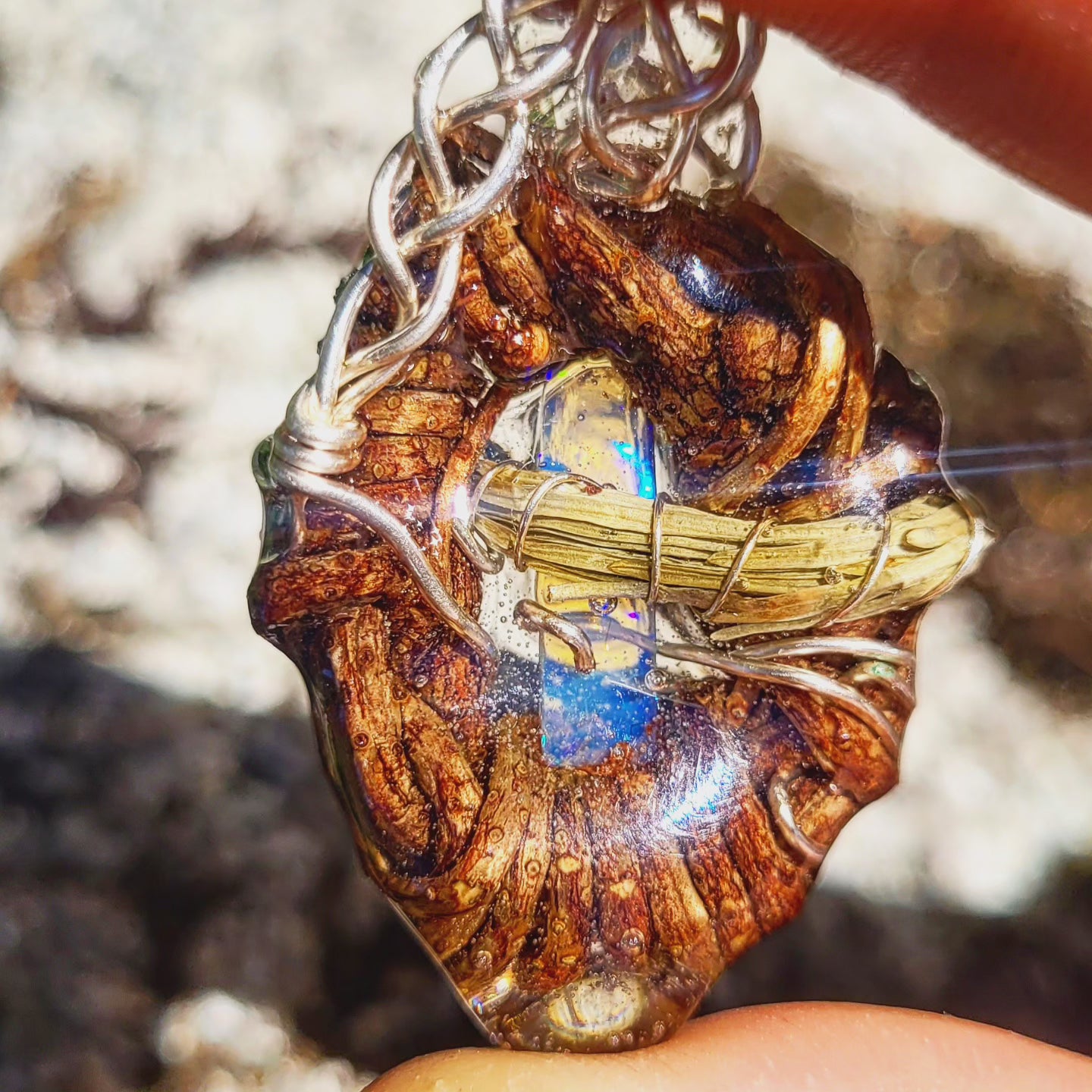 A Fire Opal Nested in Douglas Fir and Silver