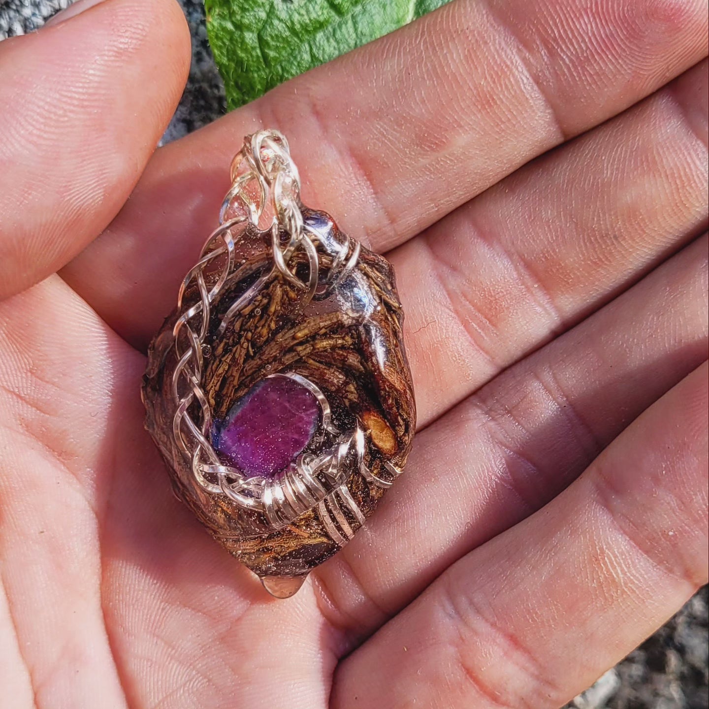 Ruby & Kyanite Nested in Western Hemlock