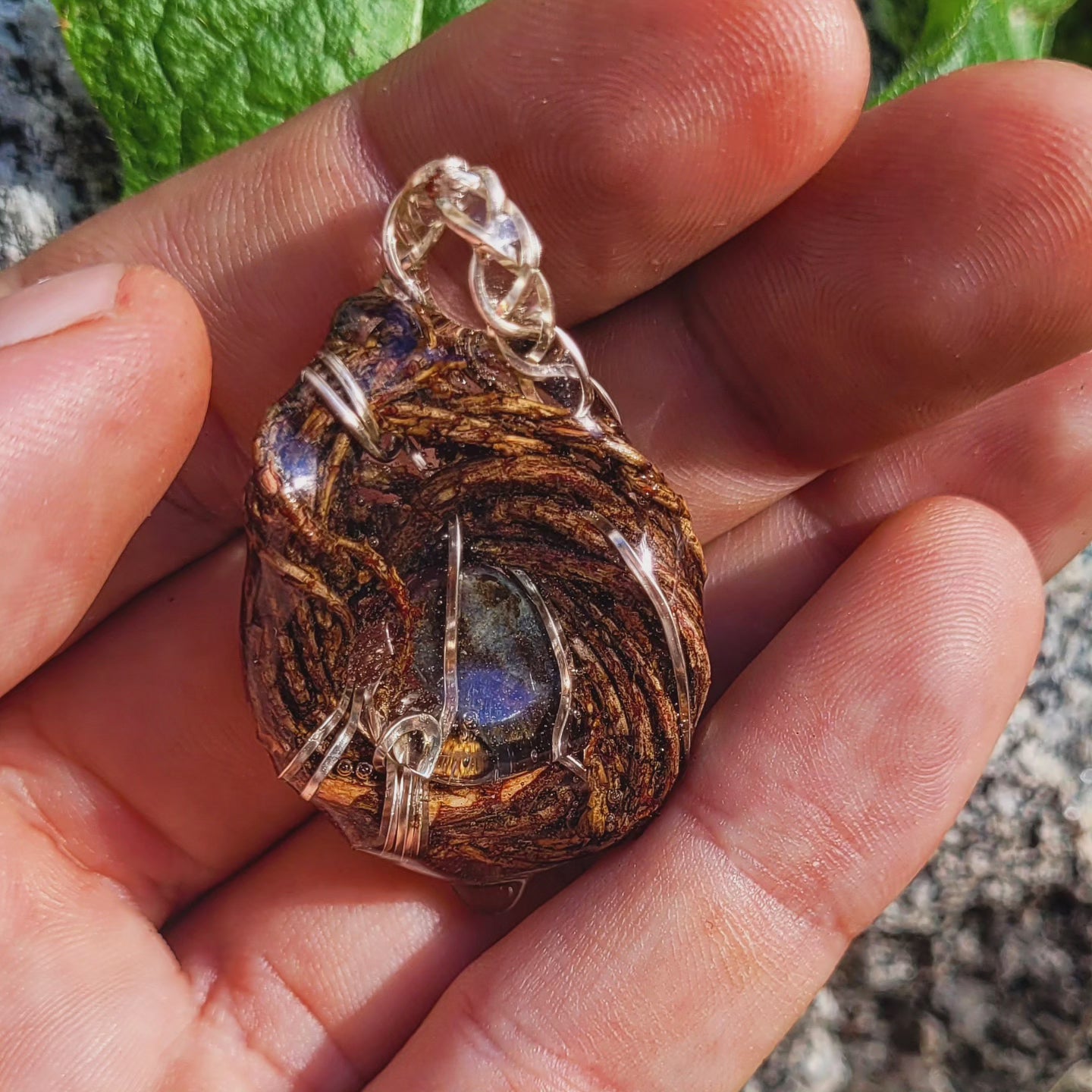 Ruby & Kyanite Nested in Western Hemlock