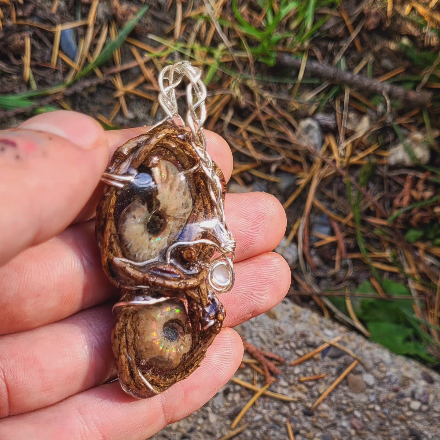 Double Sided Ammonite & Fire Opal Nested in Douglas Fir and Silver