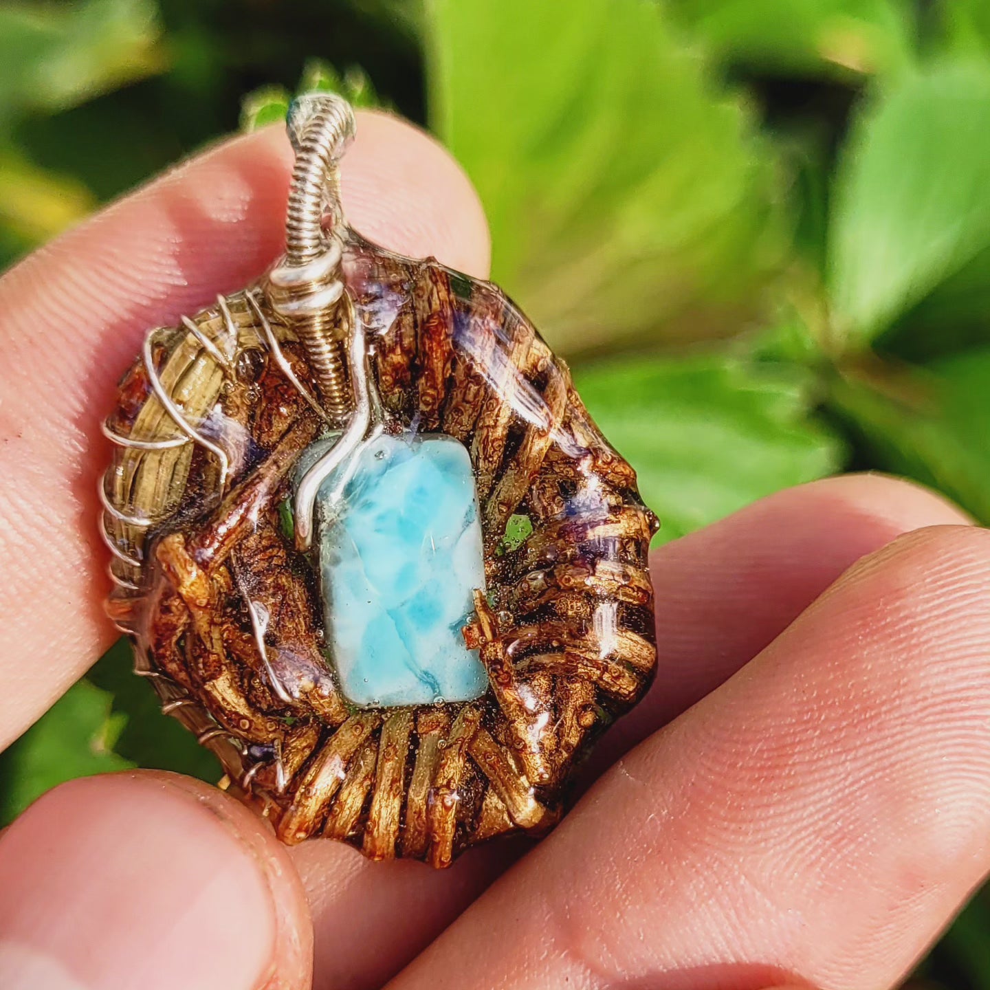 Larimar Nested in Douglas Fir and Silver