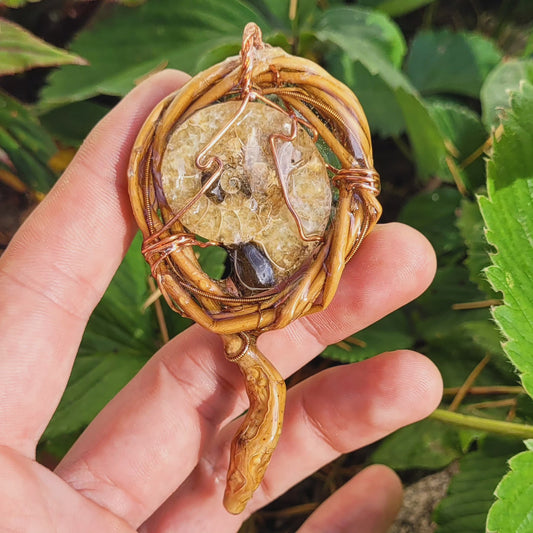 Double Sided Ammonite and Willow Spiritnest