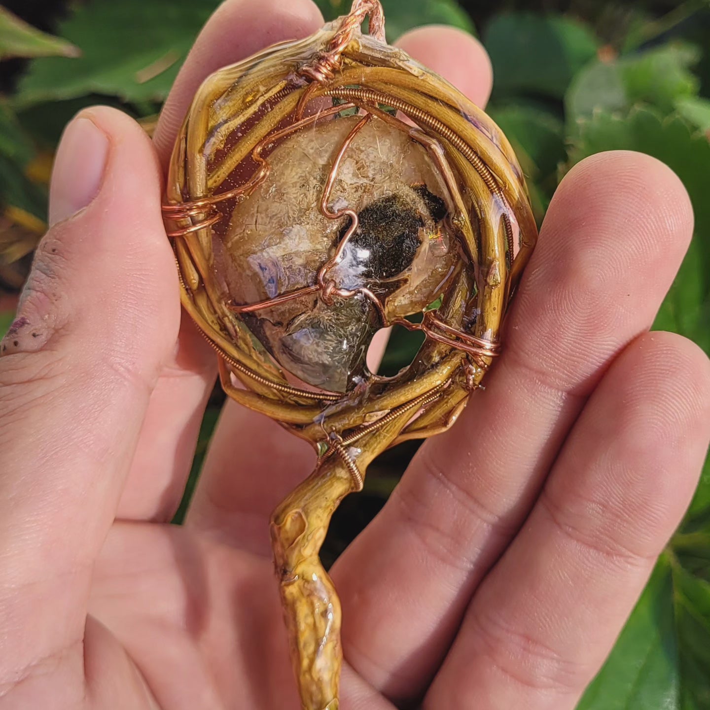 Double Sided Ammonite and Willow Spiritnest