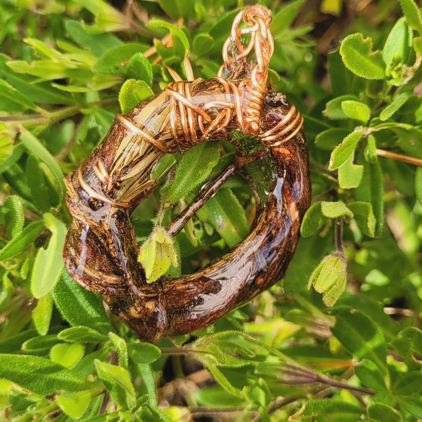 Double Sided, Western Hemlock Nest (no Stone/Crystal)