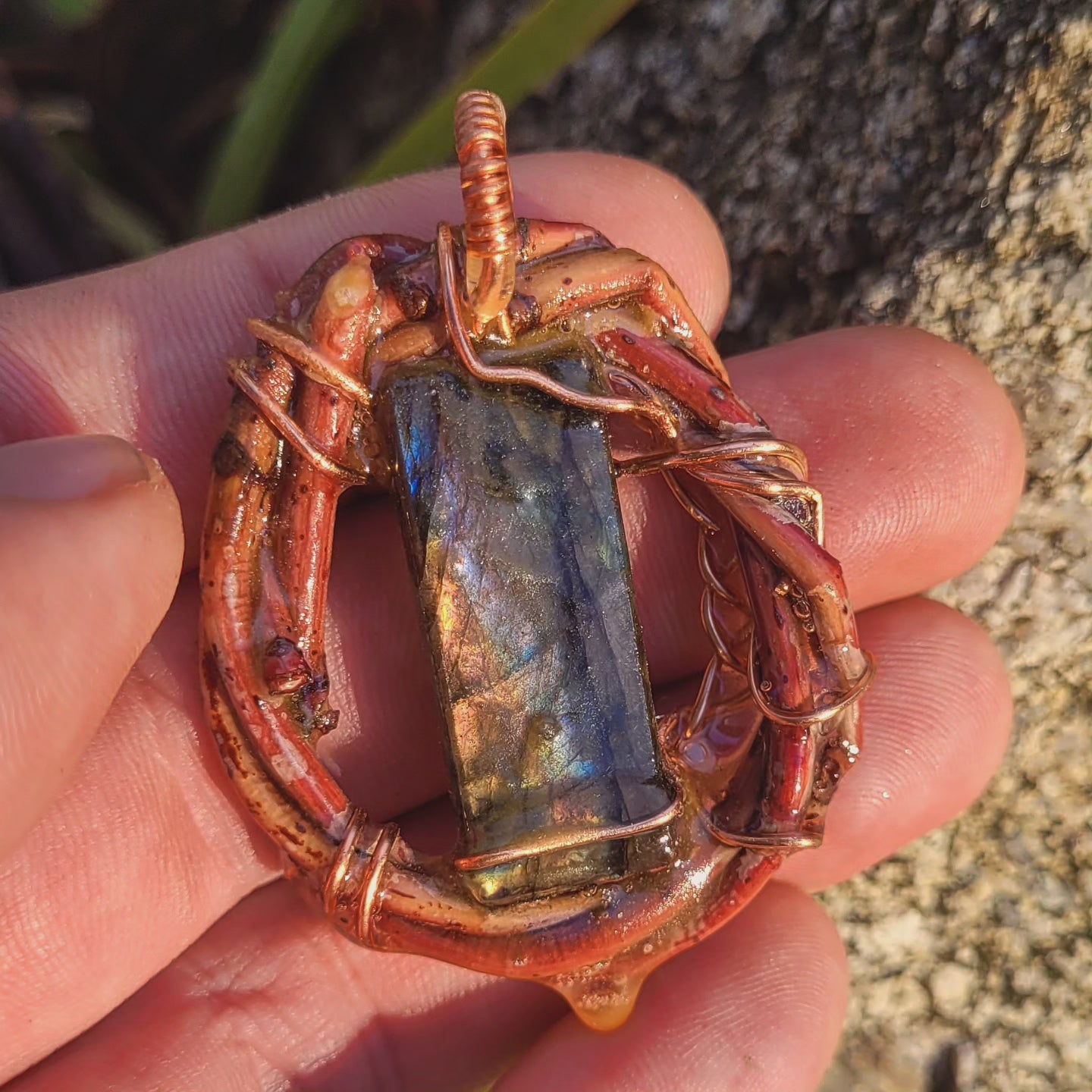 A Double Sided Glowing Labradorite Nested in Maple