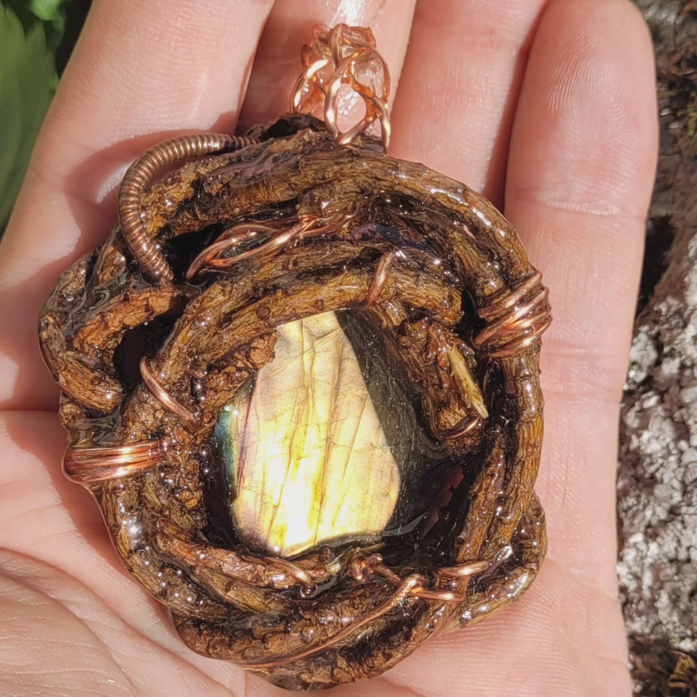 Labradorite Nested in Pine