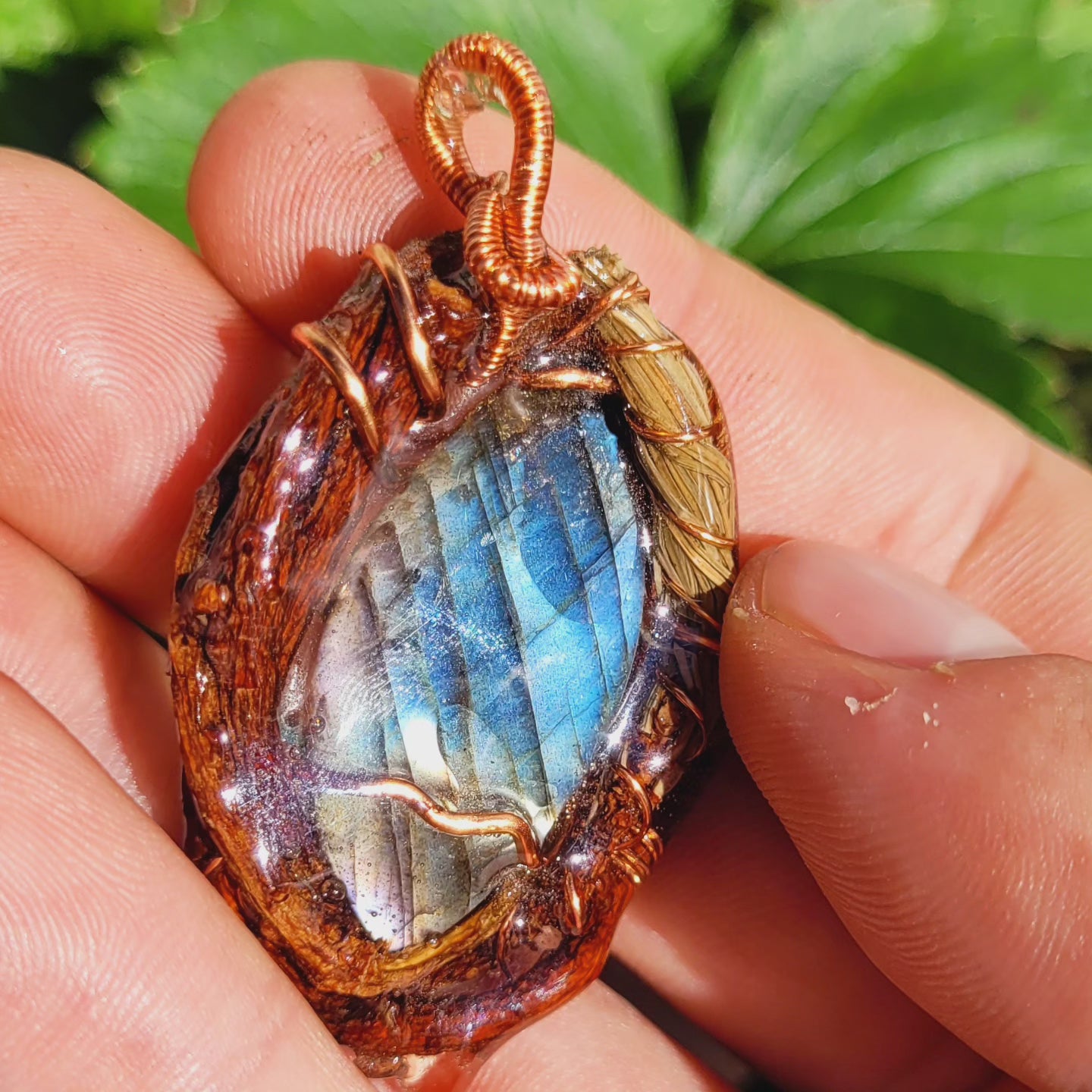 A Labradorite Nested in Pine with needles