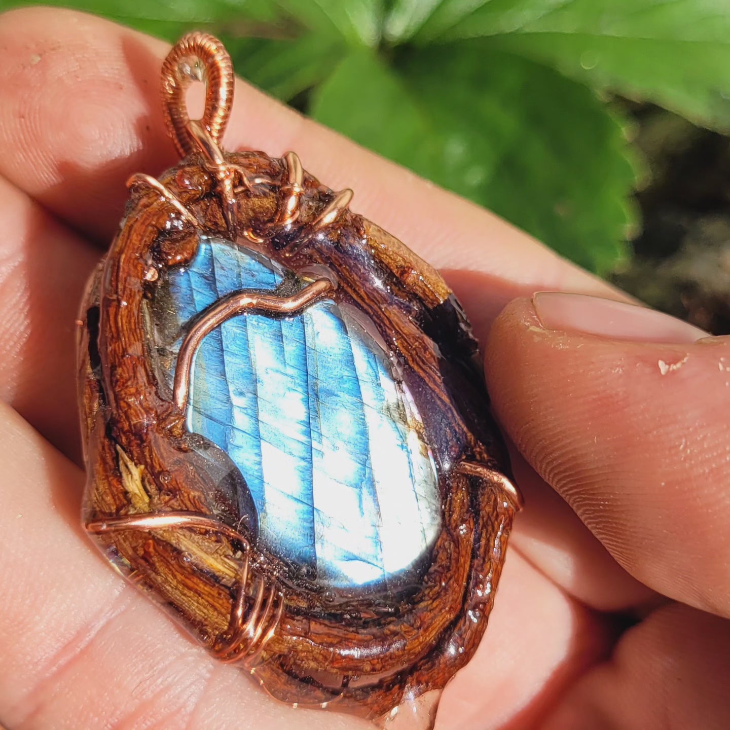 A Labradorite Nested in Pine with needles