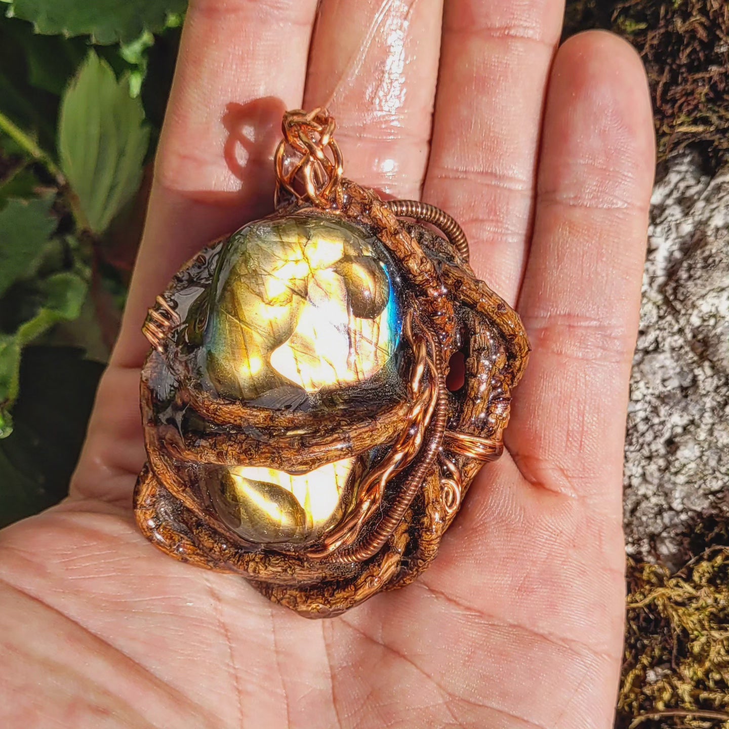 Labradorite Nested in Pine