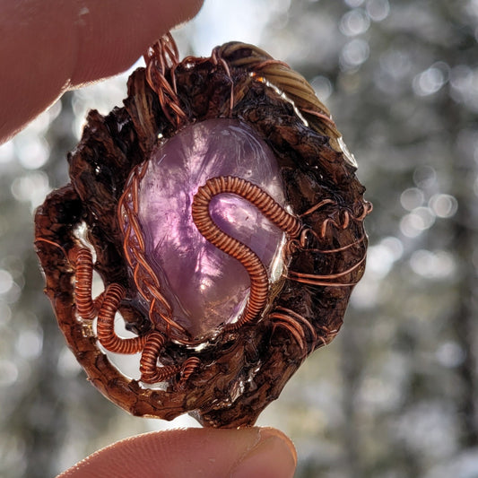 Amethyst in Pine