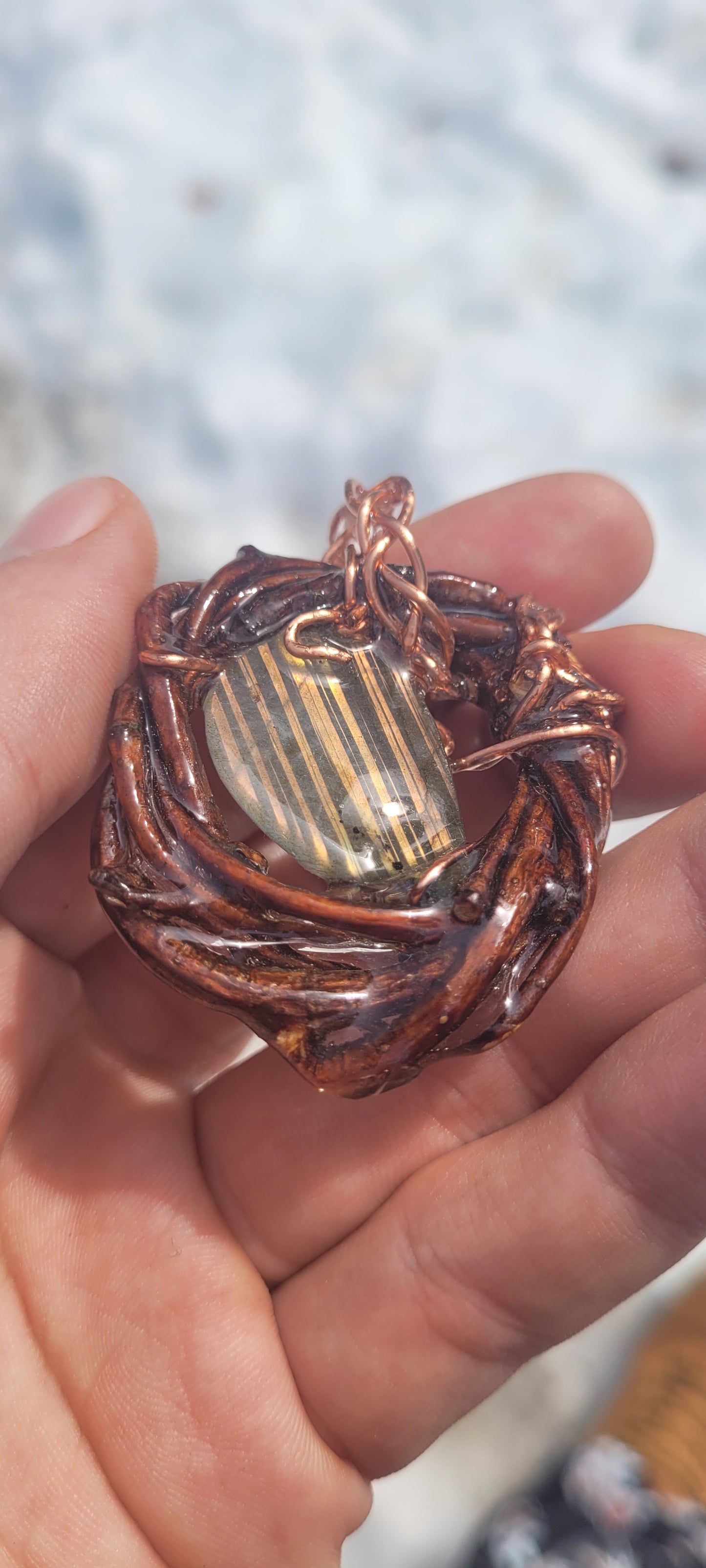 Labradorite Nested in Birch